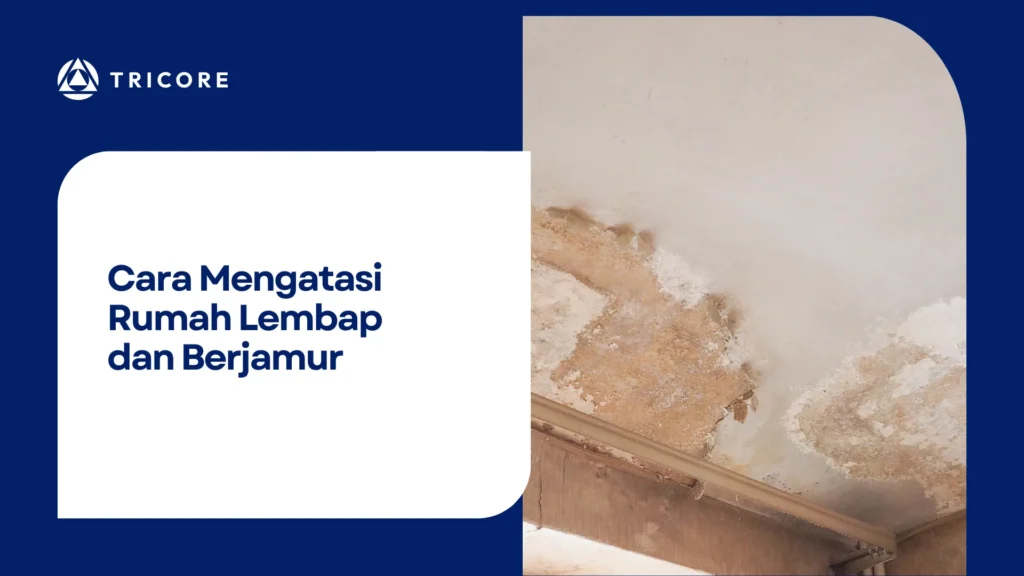 Cara Mengatasi Rumah Lembap dan Berjamur