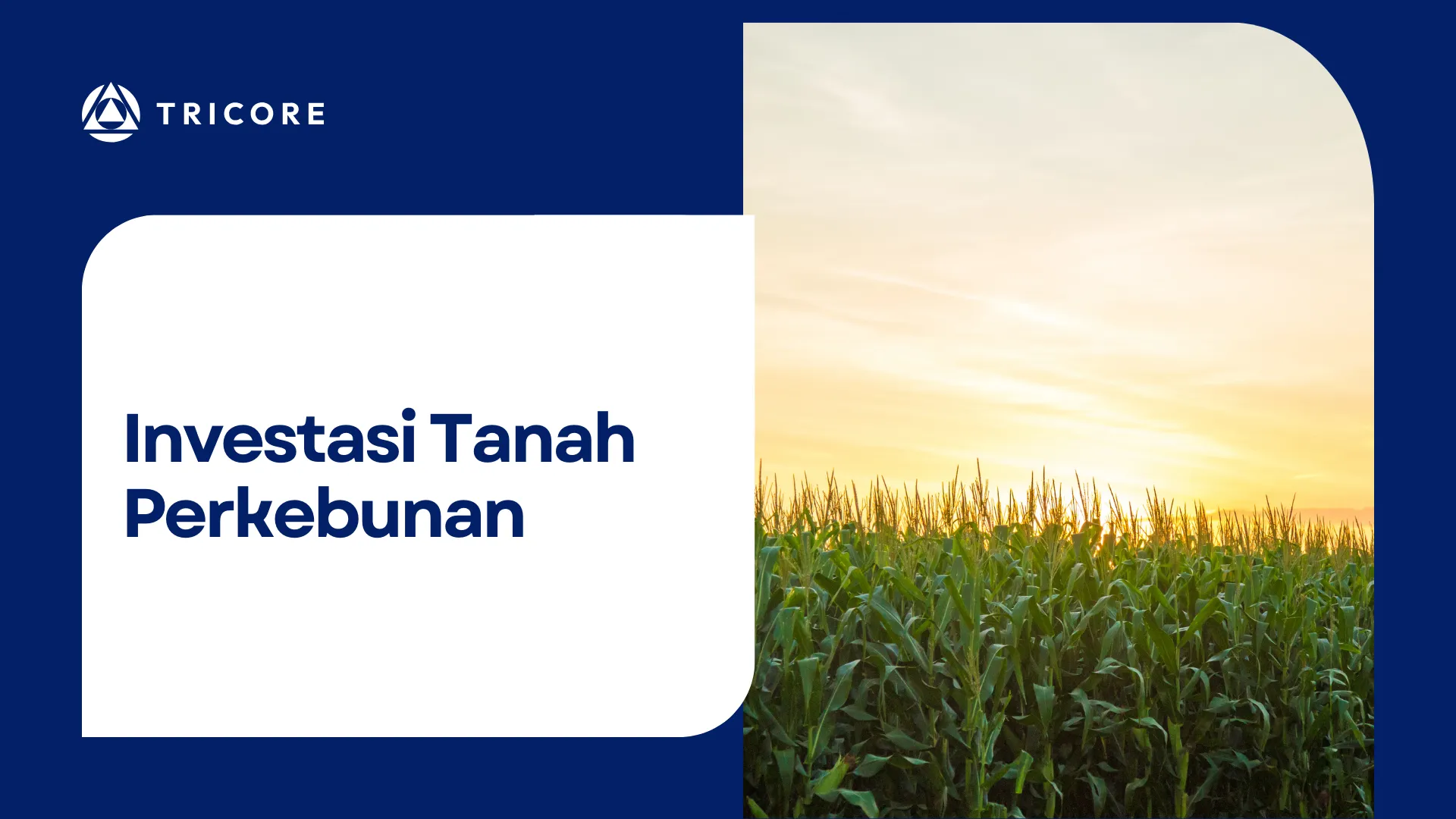 Investasi Tanah Perkebunan